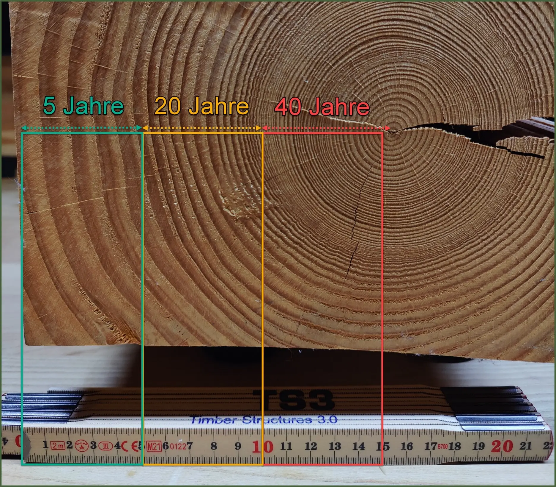 Bewirtschafterentscheid: 5cm in 5-/20-/40Jahren - das entscheiden über das Klima- und Waldeigentümerrisiko